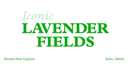 Plantin Now Variable Font Poster 6